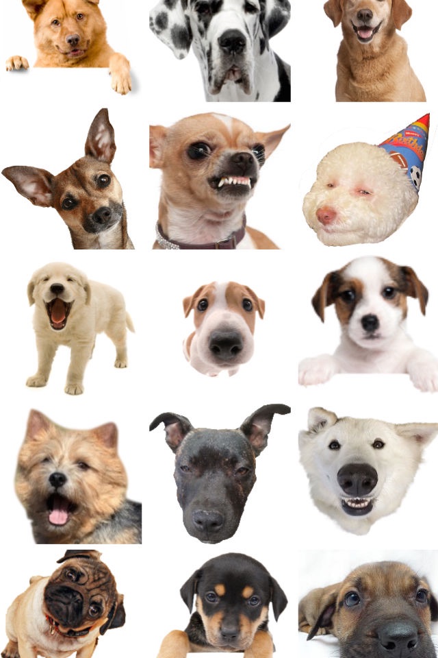 Dog Emojis screenshot 2