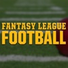 League Football: Sports: NFL & College