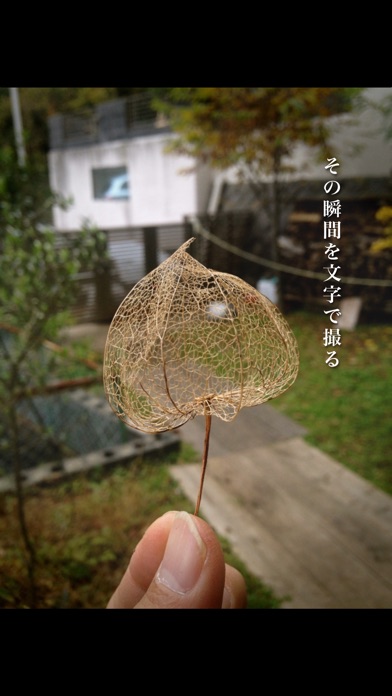 photoikku フォト一句 screenshot1