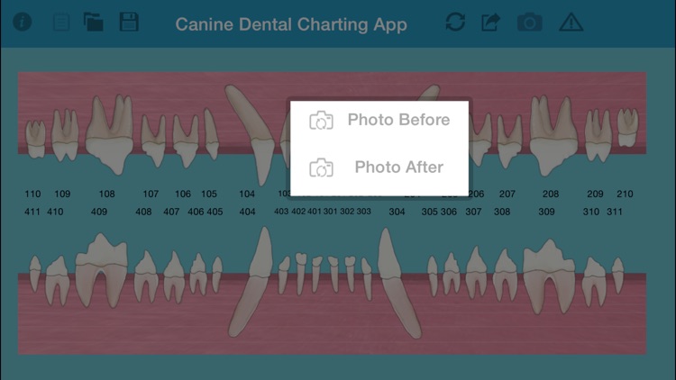 Pet Dental Charting- For veterinarians and technicians, Digital solution for dental charting screenshot-3