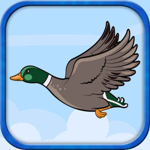 Flying Duckling - Endless adventure of a little duck iOS App