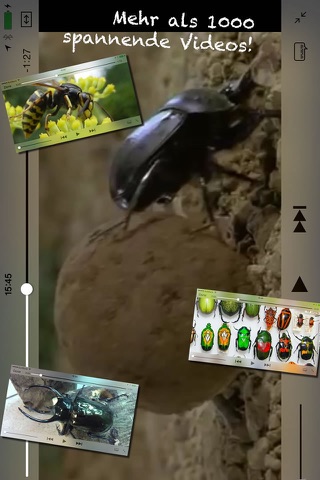 BugPedia screenshot 2