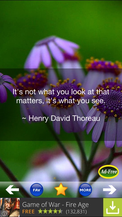 Inspirational and Motivational Quotes 5000 for Daily Inspiration, Motivation & Wisdom FREE!