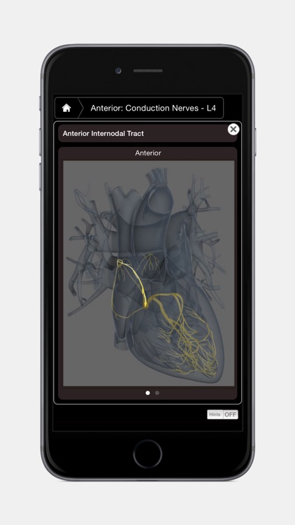 Heart Pro III - iPhone Edition screenshot-3