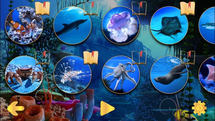 Our World - kids Learning games and puzzle for kids - Free screenshot-3