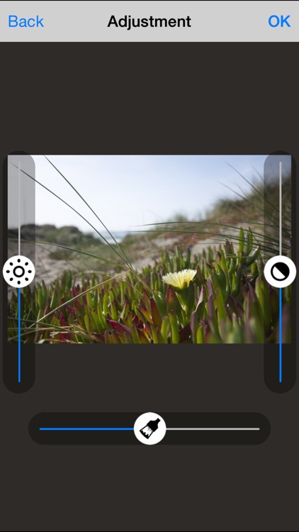 SnapEditor - Edit Make & Create Fast quick edits for your photos screenshot-3