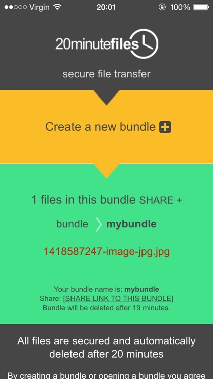 20minutefiles - secure file transfer and sharing screenshot-4