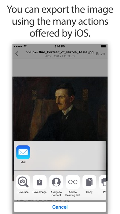 Save Images - Downloader for Safari screenshot-3