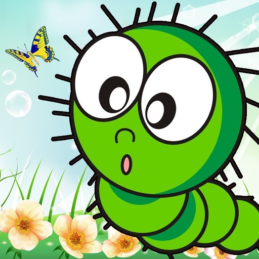 Learn Insect iOS App