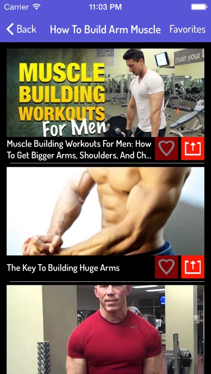 Muscles Building Guide