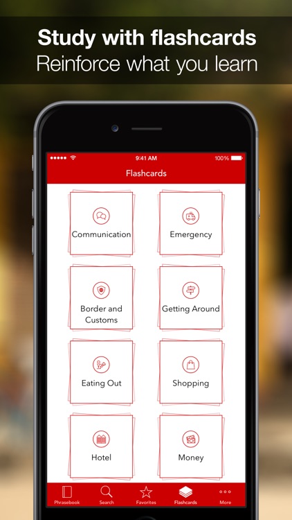 SpeakEasy Russian ~ Offline Phrasebook and Flashcards with Native Speaker Voice and Phonetics screenshot-4