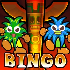 Activities of Bingo Jungle!