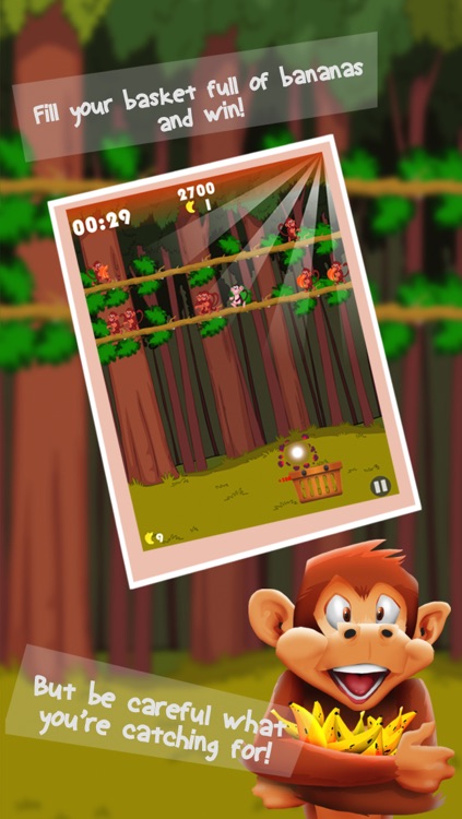 Monkey Quest Rush: Banana Drop Madness