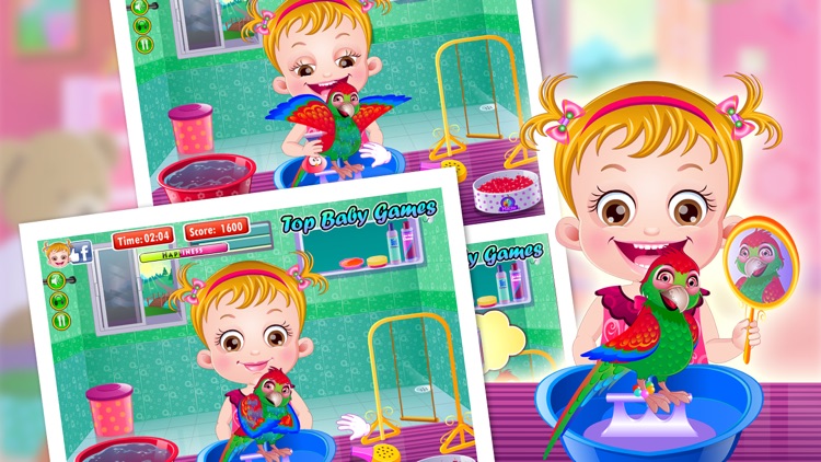 Baby Hazel Parrot Care