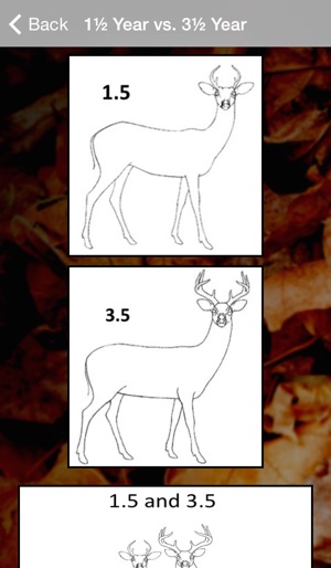 MSUES Deer Aging(圖4)-速報App