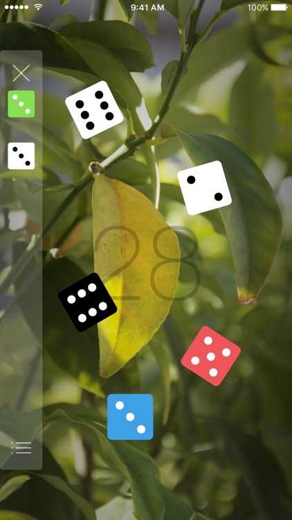 Dice