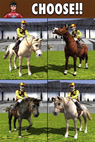 Amazing Horse Race Free - Quarter Horse Racing Simulator Game screenshot 4