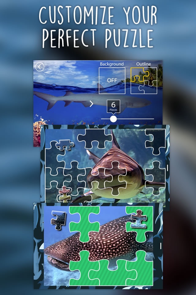 Shark Puzzles for Kids Free Jigsaw Wonder Collection screenshot 2