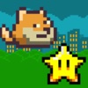 Doge Jumps On Star