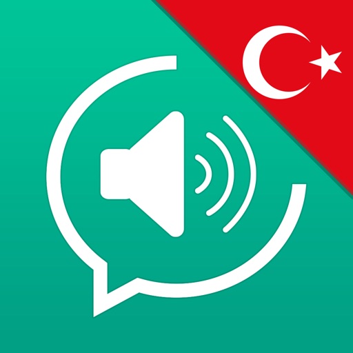 Turkish for Travel: Speak & Read Essential Phrases and learn a Language with Lingopedia Pronunciation, Grammar exercises and Phrasebook for Holidays and Trips