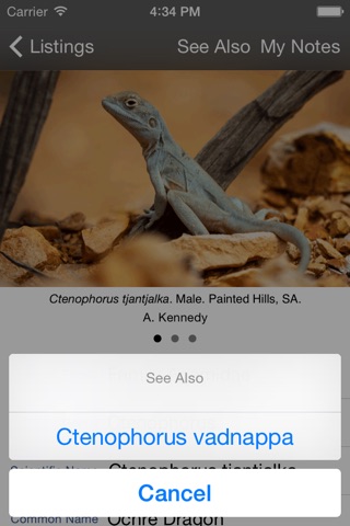 Reptiles Guide screenshot 3