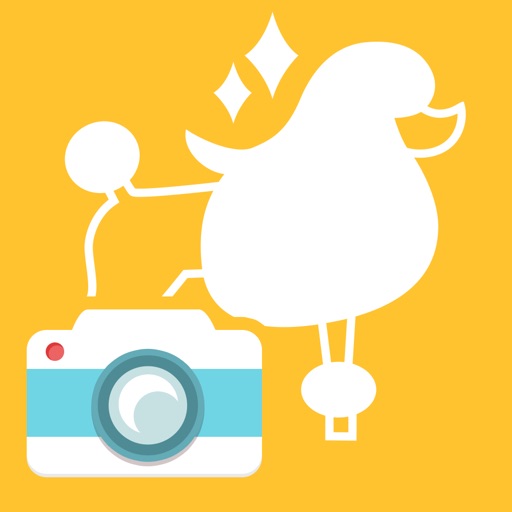 トイプードルカットカメラ