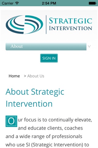 Strategicintervention screenshot 3