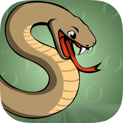 The Snake Game