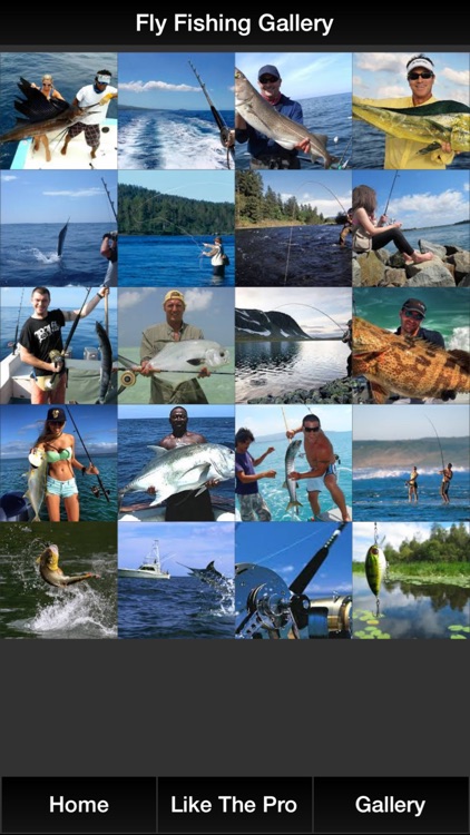 Fly Fishing Pro - All About Fly Fishing Tips, Fishing Knots, Bass Fishing