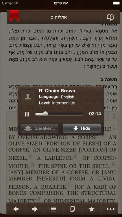 iMishna with English and Audio screenshot-4