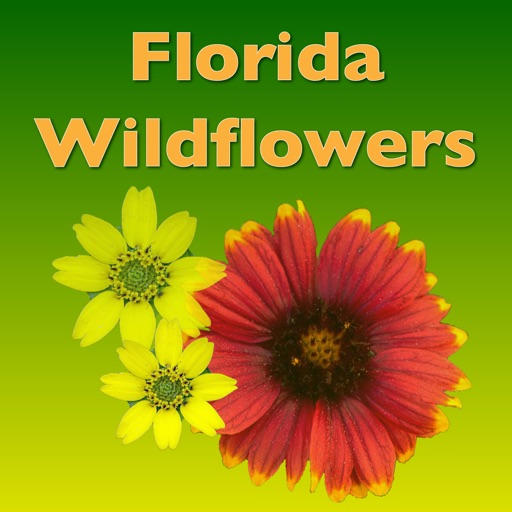 Wildflowers - Common Species of South Florida