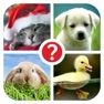 Get Guess the word ~ 4 Pix riddle /// 4 картинки ~ угадай слово по фото for iOS, iPhone, iPad Aso Report
