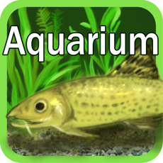 Activities of FreshWater Aquarium