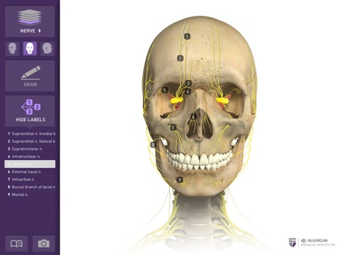 Interactive Anatomy - JO screenshot 4