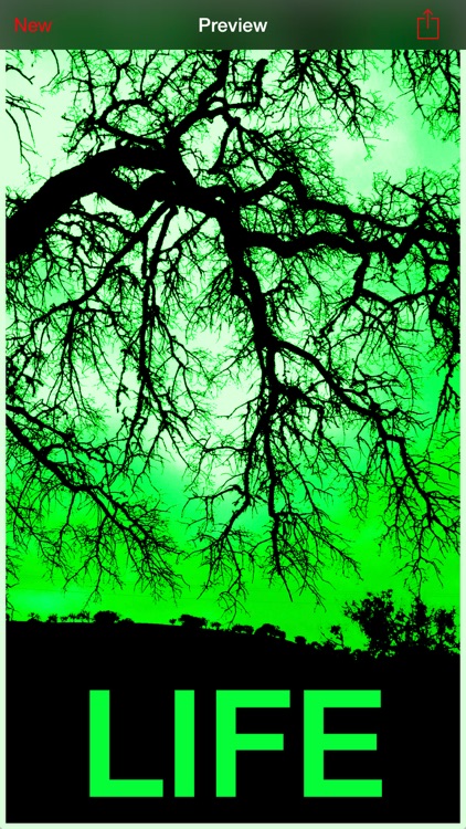 HOPE Poster Photo Filter