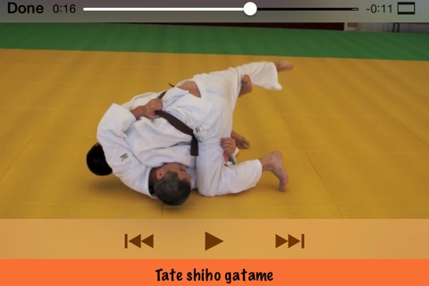 Judo Katame waza screenshot 4