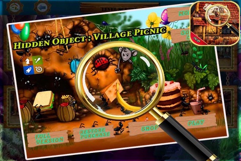 Hidden Object : Village Picnic screenshot 3