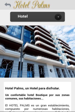 Hotel Palms screenshot 3