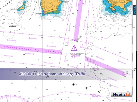 Navigation Rules: Prevention of Collision at Sea screenshot 4