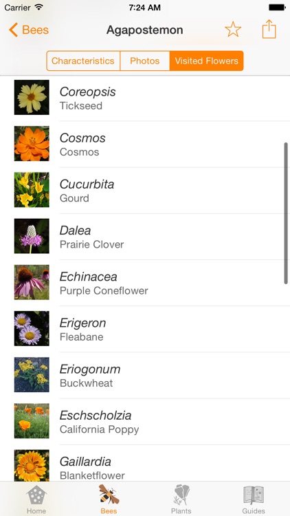 Wild Bee Gardens screenshot-3