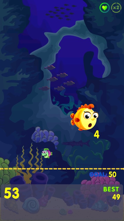 Super Fish Find Exploration