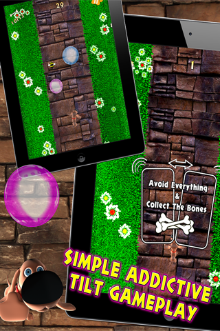 Sniffy Dog Run - Bubble Bee Adventure screenshot 3