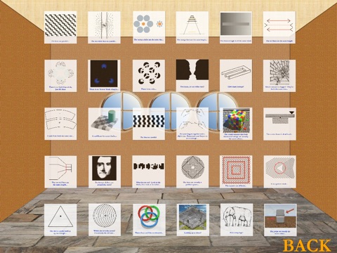 The Brain Optical Illusion Gallery FREE screenshot 3