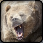 Top 49 Games Apps Like Grizzly Bear Hunt-ing Bullet Juggle Game - Best Alternatives
