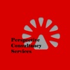 Perspective Consultancy Services