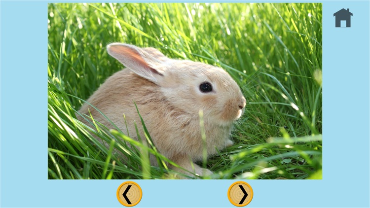 Farm animals and carnival shooting for kids - free game