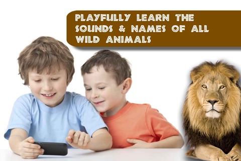 Free Memo Game Wild Animals Photo screenshot 3