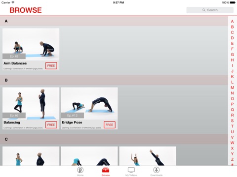 Vinyasa Yoga Lessons for iPad screenshot 4