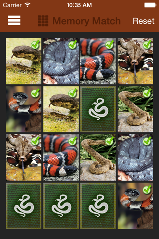 Britannica Kids: Snakes screenshot 3