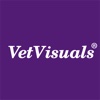 Veterinaire nascholing VetVisuals